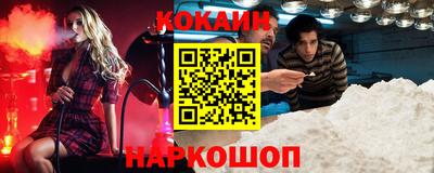 кокс Гатчина