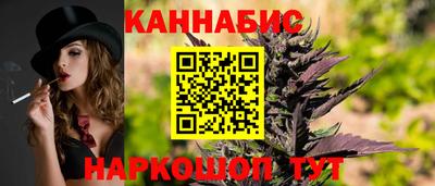 кокс Гатчина