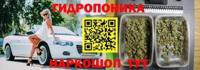 PSILOCYBIN Гай