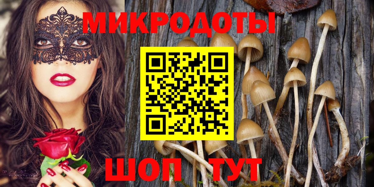как найти закладки  Вход с VPN  Сосновый Бор  Галлюциногенные грибы мухоморы 